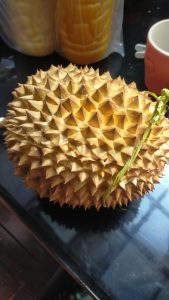 Durian Musangking